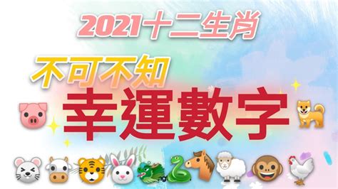 蛇 數字|生肖屬」蛇」與屬「馬」開啟幸運之門的數字能量密碼「2738。